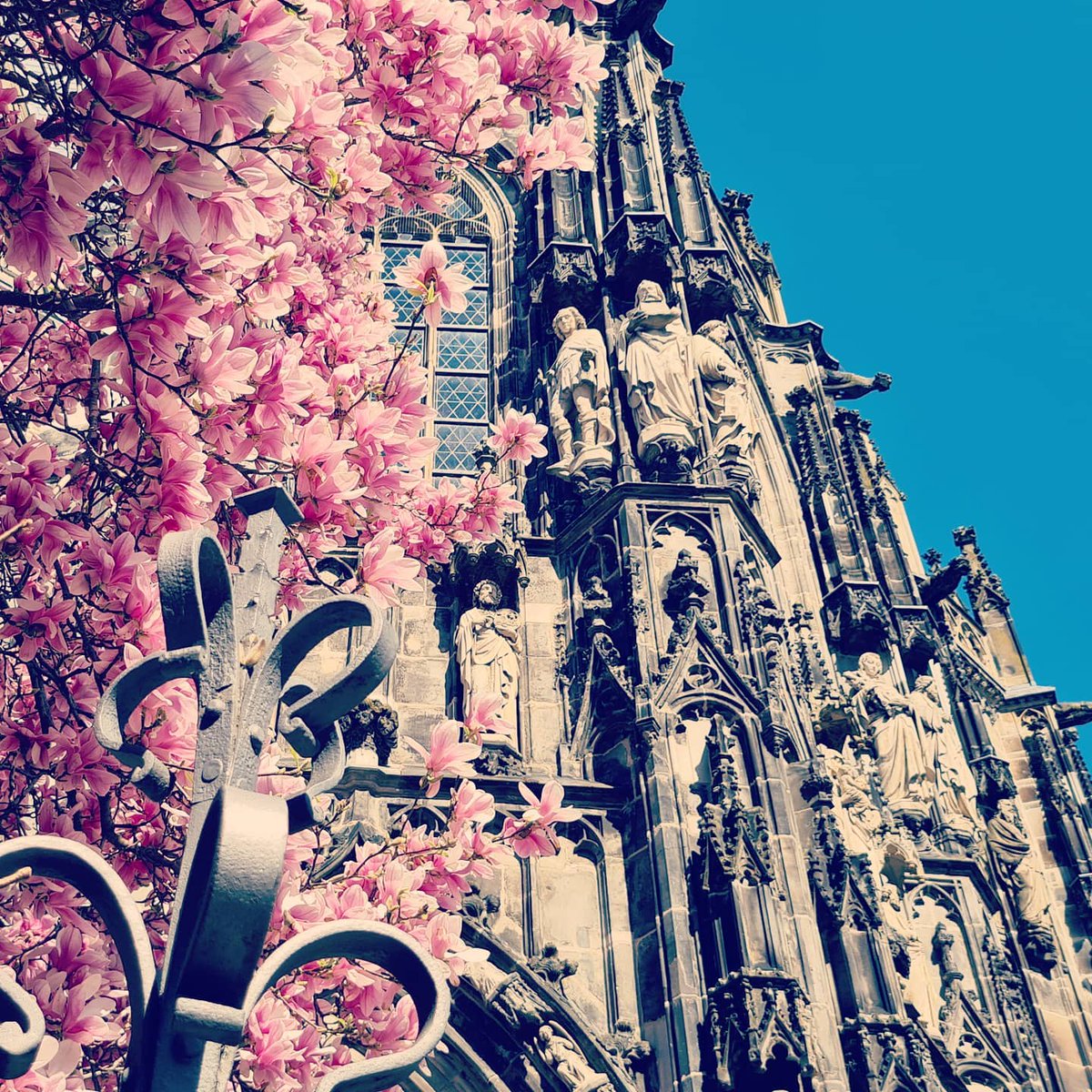 GCMettbroetchen's tweet image. #NotThinking #alleswirdgut