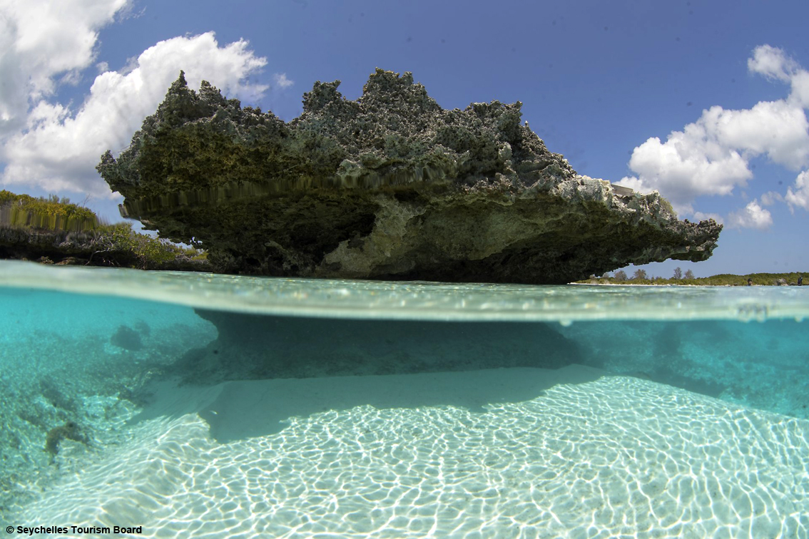 TurismoItaliaNw's tweet image. L'atollo di corallo emerso più grande al mondo: ecco Aldabra, alle Seychelles uno dei luoghi più suggestivi. E' patrimonio Unesco 
Leggi la notizia bit.ly/31JTqE2 

#Seychelles #atollo #Aldabra #turismo @TravelMark2 @visitseychelles #viaggi #UNESCO