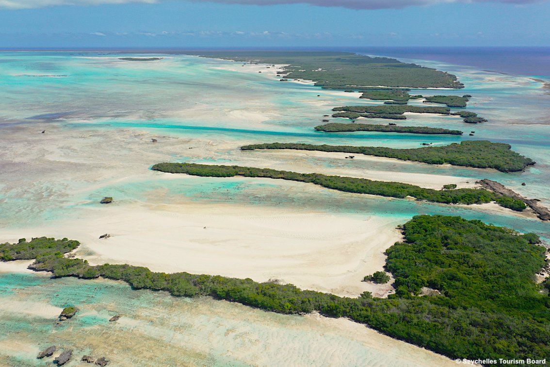 TurismoItaliaNw's tweet image. L'atollo di corallo emerso più grande al mondo: ecco Aldabra, alle Seychelles uno dei luoghi più suggestivi. E' patrimonio Unesco 
Leggi la notizia bit.ly/31JTqE2 

#Seychelles #atollo #Aldabra #turismo @TravelMark2 @visitseychelles #viaggi #UNESCO