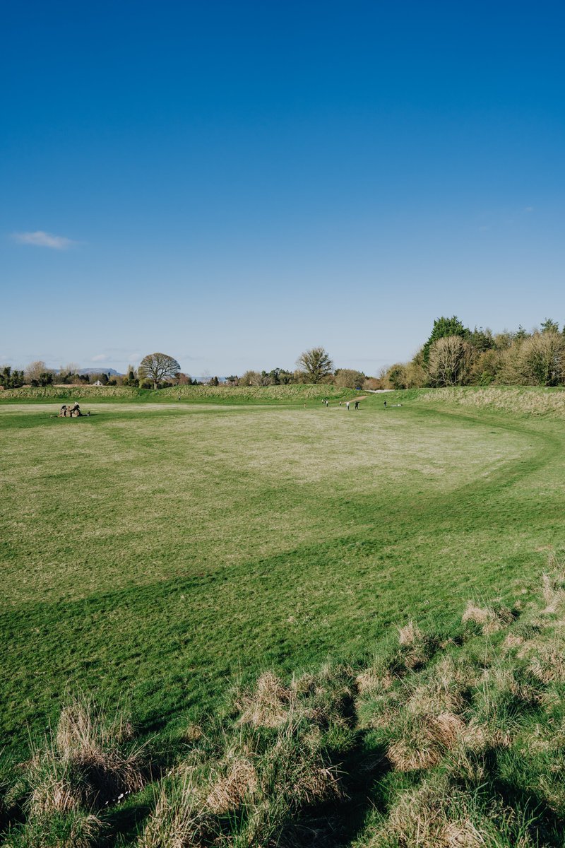 andreoloa's tweet image. Feels good