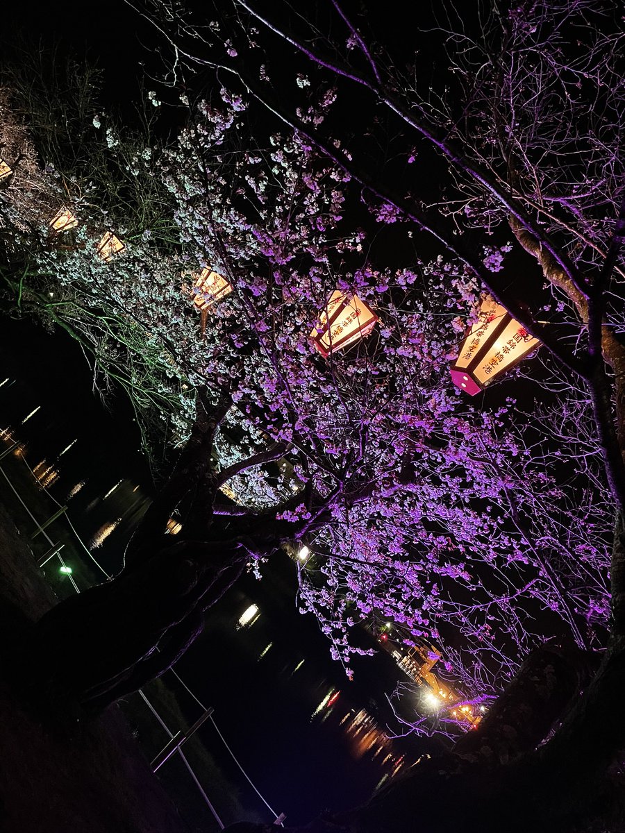xm7_r2's tweet photo. #夜桜
 #錦帯橋 https://t.co/jHBicWHw9X