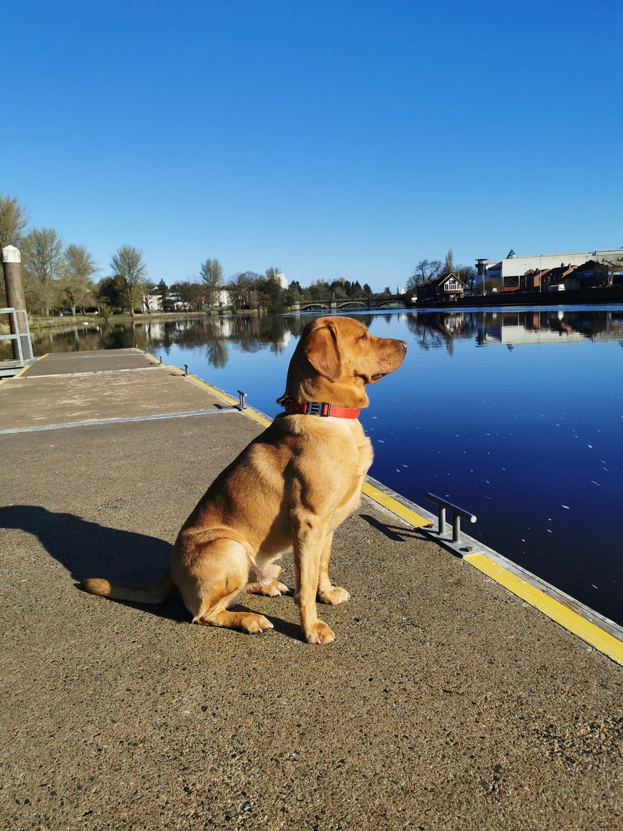 ianwrightcfc's tweet image. Gorgeous morning along the bannside of killowen #Coleraine