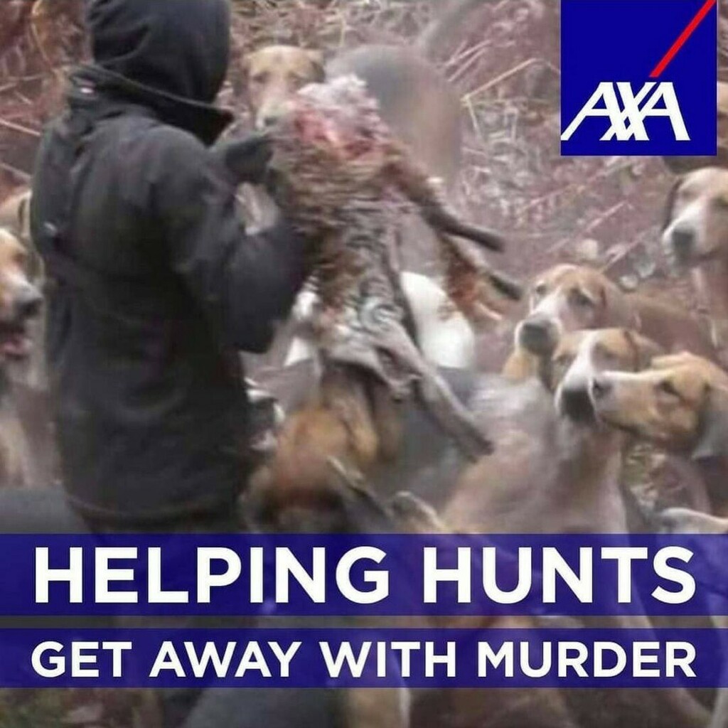 Derby_Sabs's tweet photo. #huntingleaks https://t.co/768KRcv42Z https://t.co/yH4GjdMMqI