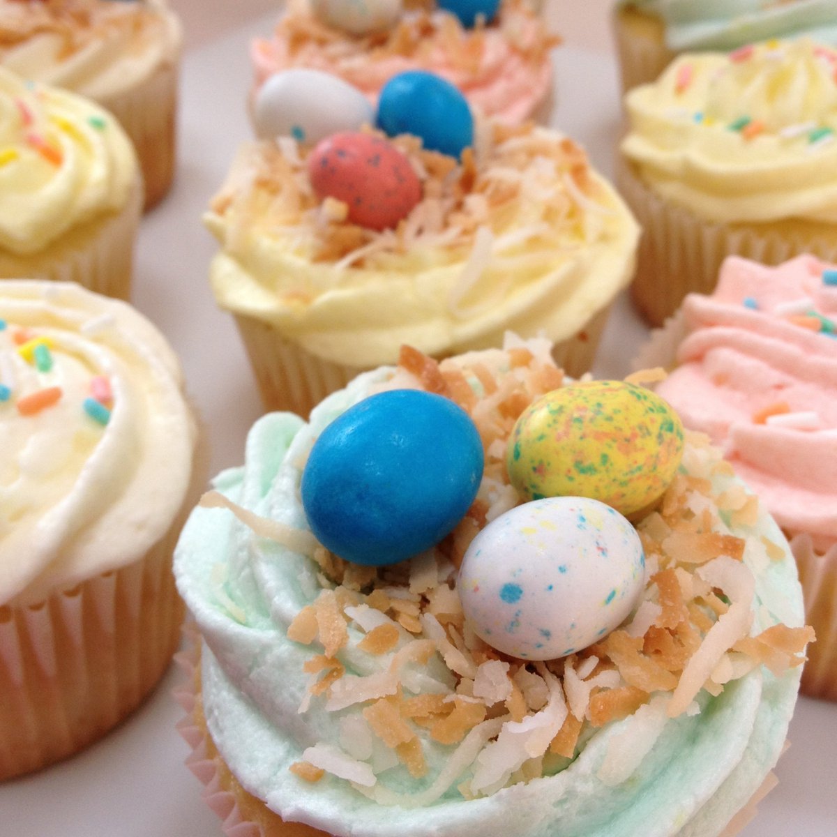 simonejtyner's tweet photo. Aren’t these robin’s nest cupcakes the cutest? The cake recipe is one of my favs that I got from a magazine years ago and decided to turn into cupcakes.  Recipe 🔗 https://t.co/ZdPXOugwWO
#fridayfoods https://t.co/ftGrkIIQbU