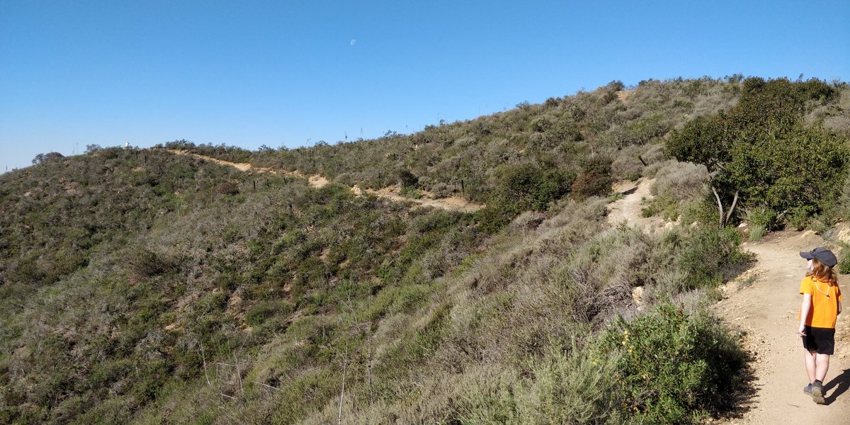 Mirdear1's tweet photo. We went on our No. 4 trail this morning. Potrero Ridge Trail in Dos Vientos.
#coschallenge https://t.co/kaKOIFMP57
