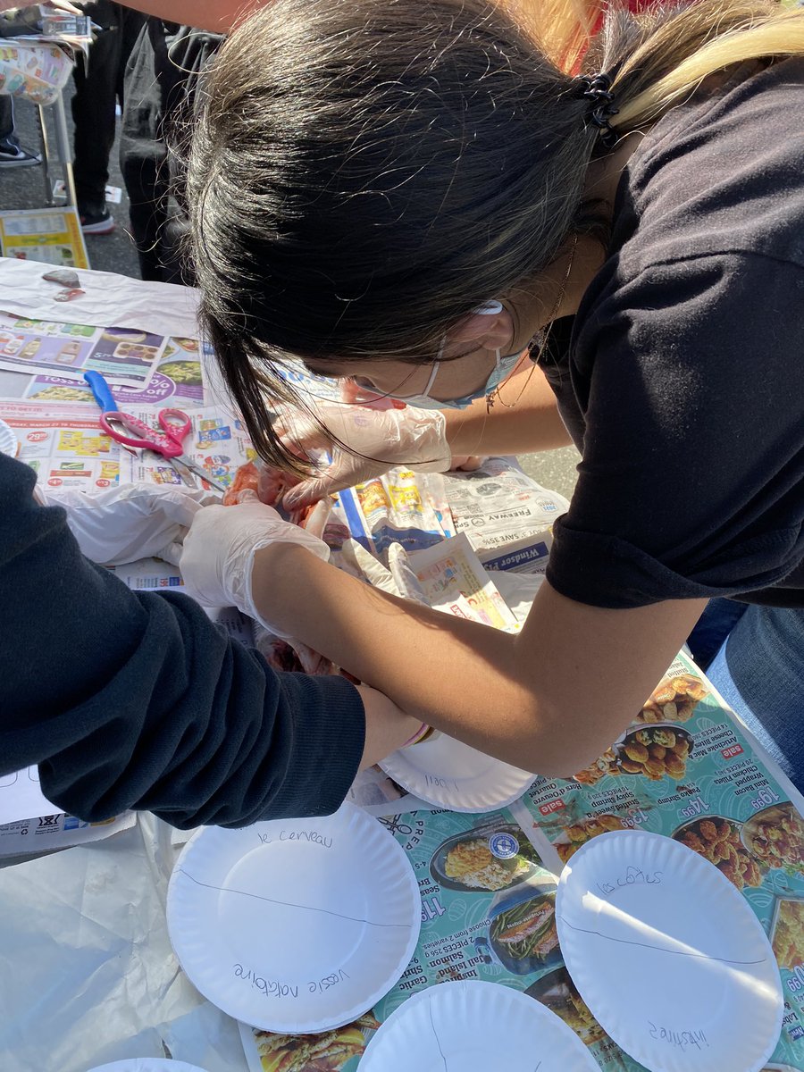 ChalmersElem's tweet photo. The Great Chalmers Salmon Dissection. A great learning opportunity for three of our LFI classes. Thank you to Mr. Ardanaz for leading the students in their scientific journey. Merci! @deltasd37 https://t.co/ZrGM7B75gq