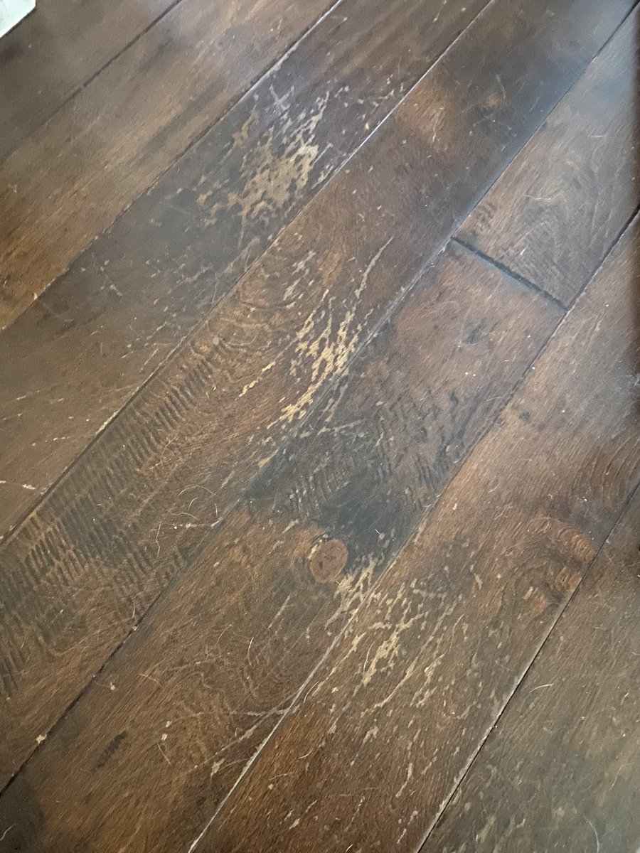 Alison_53's tweet photo. Buyer beware. @BellaCeraFloors is a terrible product. 4 years on my floors, no children, one 50lb dog, only ever cleaned with Bona. My floors look TERRIBLE https://t.co/YvMKdLSgnW