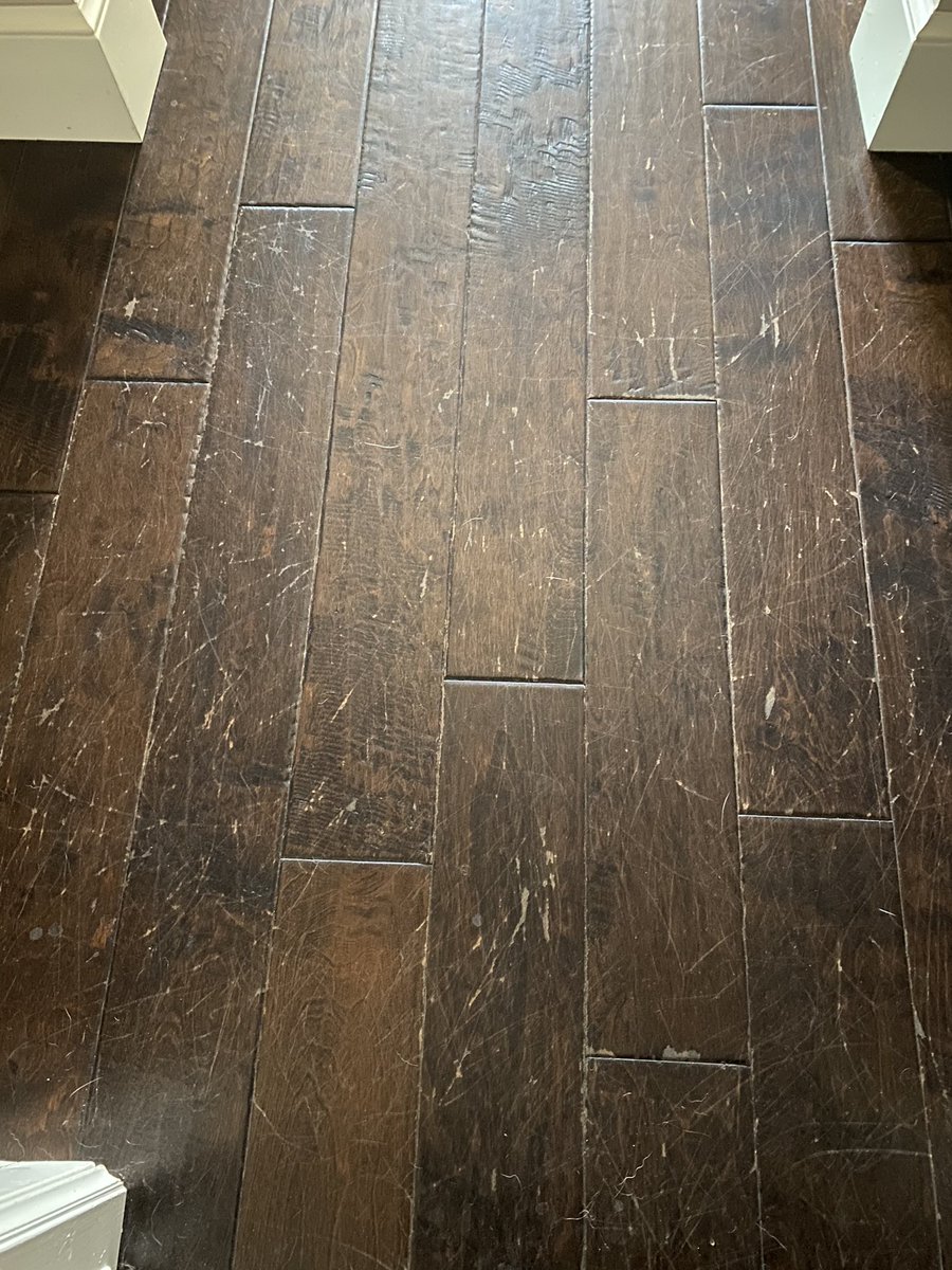 Alison_53's tweet photo. Buyer beware. @BellaCeraFloors is a terrible product. 4 years on my floors, no children, one 50lb dog, only ever cleaned with Bona. My floors look TERRIBLE https://t.co/YvMKdLSgnW