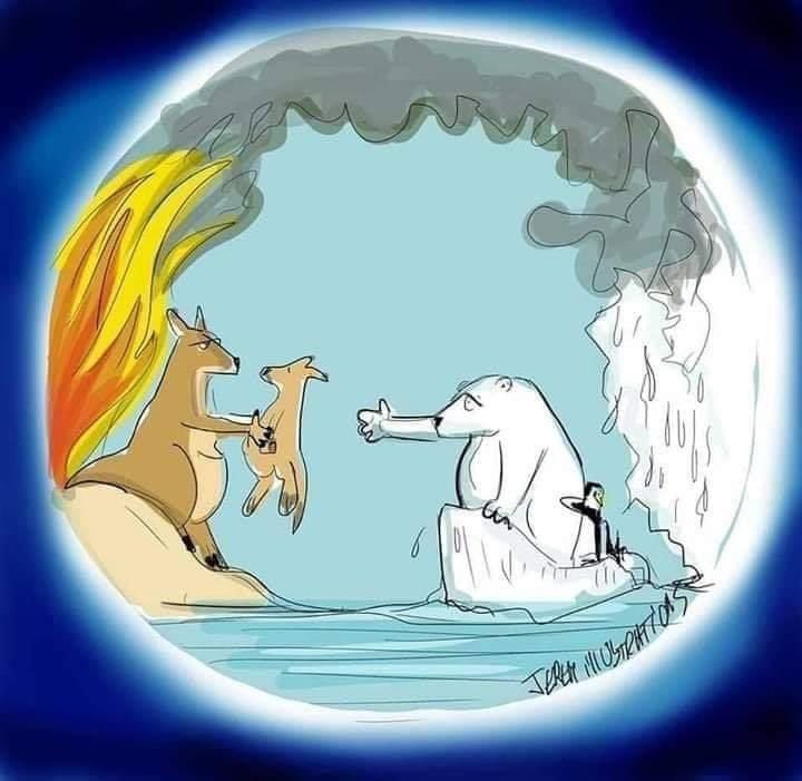 YGCtweets's tweet photo. This picture sums up how animals are affected by our bad decisions. #globalwarming #climatechange #climateemergency #climatechangeisreal https://t.co/4jRyKK0hrH