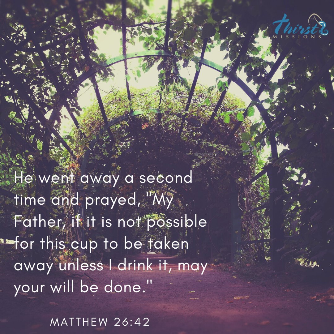 thirstmissions's tweet photo. Matthew 26:42- May your will be done. #Matthew62 #HolyWeek #Easter #Scripture #ThirstMissions #YourWillBeDone #Bible #BibleVerse https://t.co/kK9NXzdrh7