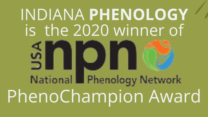 IndianaChanges's tweet image. Indiana Phenology is the winner of the 4th annual PhenoChampions Award! This award is presented to a Local Phenology Program that has gone above and beyond. We are honored to be recognized for our efforts to facilitate the long-term documentation of phenology in Indiana. @USANPN