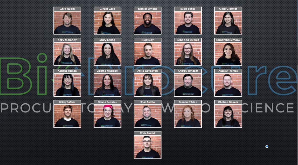 bioprocure's tweet photo. We are so happy to share with you the faces of BioProcure's newest hires! We are so happy that they've joined our team, and we're grateful for what each individual brings to the table. Join us in giving them a warm welcome! #bioprocure #procuretopay #bostonbiotech https://t.co/Y4dCYGv3fB
