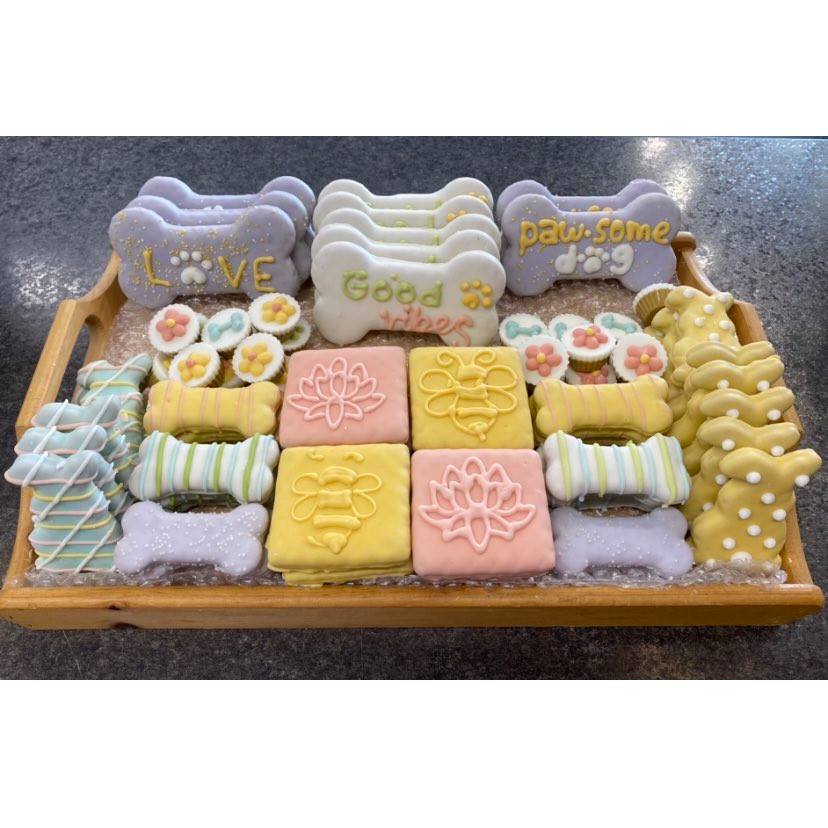 gpfcambridge's tweet photo. Looking for a little Easter Treat for your pooch?  Check out these super cute cookies from Bosco and Roxy's! 

#boscoandroxys #eastertreats #spoilthedog #dogsofinstagram #globalpetfoods #hespeler https://t.co/4MmXlzwNtB