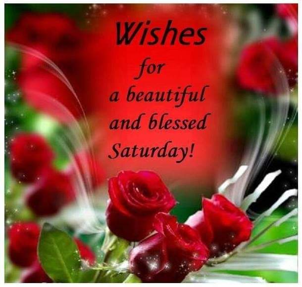 @bethzaydaaa1 <a href="/CorazonTalosig4/">Corazon Talosig</a> <a href="/Mamumercy04/">chuling</a> @jnvlmcon <a href="/MayYnfante/">Funky Tiger</a> @Mathel132 <a href="/helen_0902/">Mommy Helen</a> <a href="/mariefdadea/">yahyah</a> <a href="/russelle87/">💞russelle💞</a> <a href="/VICKYSUN12/">VIKKIRC</a> <a href="/gaia_adn/">Gabriel Isaiah Gaia AlDub/MaiChard💛💚</a> @BetsayCamp @Rosario58324309 <a href="/ashleylaw371/">E.B.A.is Mom Bᴬlᴰubᴺation</a> <a href="/ClaudieSkies/">🌺 Botany Knowledge 🌺</a> <a href="/mariachonatabe1/">🌷Chona 🍁</a> <a href="/cpjayloni/">Simply CEZ</a> <a href="/sarahgrimes03/">sarahgrimes031</a> <a href="/Ecsoyosayahooc1/">Ecsoyosa@yahoo.com</a> <a href="/joviedomingo/">Joviedomingo</a> <a href="/mvvb4785/">KIAdorable</a> <a href="/OctNov_0503/">november rain</a> <a href="/NtKatara/">🌹ntkatara🌹™</a> <a href="/Salvesayson/">SALVE 🎀ALDUBKingdom🎀</a> <a href="/MarilouPacliba1/">Marilou Paclibar</a> <a href="/annabelle_celis/">Gabriela Torres @Annabelle</a> <a href="/AverillaNena/">🏵Nena🌻</a> <a href="/magnomarilyn11/">Marilyn Magno AlDub Lang.</a> <a href="/NellyGBasco/">NellyADN"ALDUB/MAICHARD4EVER"</a> <a href="/MommyEF2/">morningglory</a> <a href="/momshiehoties1/">@SanaAll🥰</a> <a href="/schutty14/">🍏Schuttyᴬᴰᴺ🍏</a> @HeartOfMaine1 <a href="/QueSera25265513/">QueSeraSeraᴬᴰᴺ🧚‍♀️💫🧚‍♂️</a> <a href="/chonafebe2/">3fe.....Mcpower</a> <a href="/latuazon/">Lira Tuazon 🍃</a> <a href="/ALDUB_fever2015/">Raymunda Licardo</a> #TBADNBoycottMZETxAPT27 
#ALDUBatADNDevotion 
💚 BEAUTIFUL AND BLESSED SATURDAY Y'ALL! 💚 <a href="/northglow1/">northglow</a> <a href="/lelenperalta911/">🍍MVSP 😁 ITS NICE TO BE HAPPY 🍍</a> <a href="/NoraNoraCampos/">❤️🌺</a> <a href="/dullas_emmanuel/">ℰ𝓂𝓂𝒶𝓃𝓊ℯ𝓁𝓁ℯ🦋</a> <a href="/nidzjordan/">Nydia Jordanᴬᴰᴺ🌄</a> <a href="/nerisbatotoc/">Nerissa</a> <a href="/fleurs7754/">PlantMama 🌱</a> <a href="/r79perfect/">@rmie_R🍒</a> <a href="/sapphir04394715/">@Sapphire2💙</a> <a href="/ellina_gen/">Ellina Gen ˢᵉⁿᵗᶦ²⁰¹⁶</a> @tes_somes <a href="/salvadortrish21/">💖Trish💖</a> <a href="/TessieCViaa1/">Tessie C. Viaña</a> 🌿