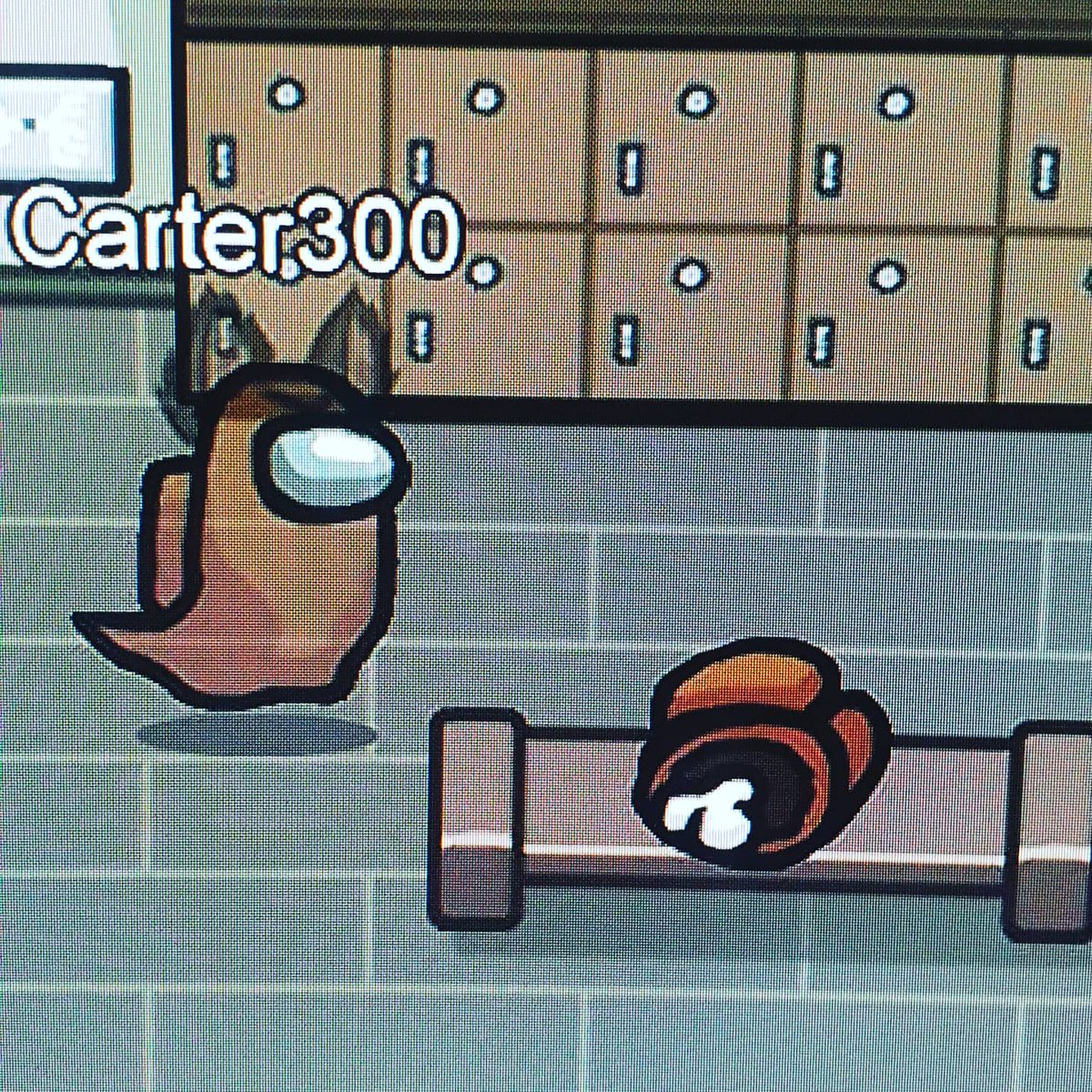 Carter_ccc's tweet photo. Streame gerade Among Us mit der neuen Map Airship und bin schon Tot. Schaut gerne mal rein #letsplay #smallstreamer #gamerlife #deutsch #gameing #zocker #live #germany #geekforlife #gameon #nerdstuff #streamer #germanmediart
#TwitchDE #youtubede #YouTubeLive #amongus #airship https://t.co/5yE86SMHGn