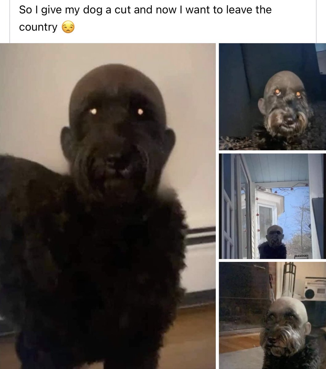 Bhytes1's tweet photo. I can’t stop laughing at this 🤣🤣🤣 https://t.co/MIpXlueBOX