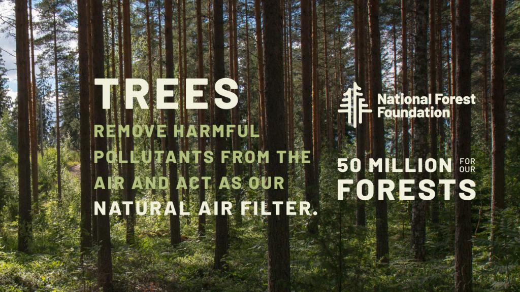 Happy Earth Month! Did you know, about half of what’s in our decking comes from recycled wood? We're so excited to partner with the <a href="/NationalForests/">National Forest Fdn.</a>. <a href="/FBHS_News/">FBIN</a> and MasterBrand Cabinets to plant 50,000 trees in National Forests in need. #earthmonth #recycle #preserve