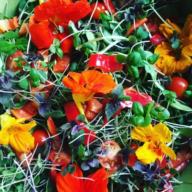 SDFarmersMarket's tweet photo. Saturday 4/3 - SoDu Market starting at *8am*!  💐🌺🌿 - https://t.co/Cv7yzB7EXM https://t.co/o80Lnv4Z0t