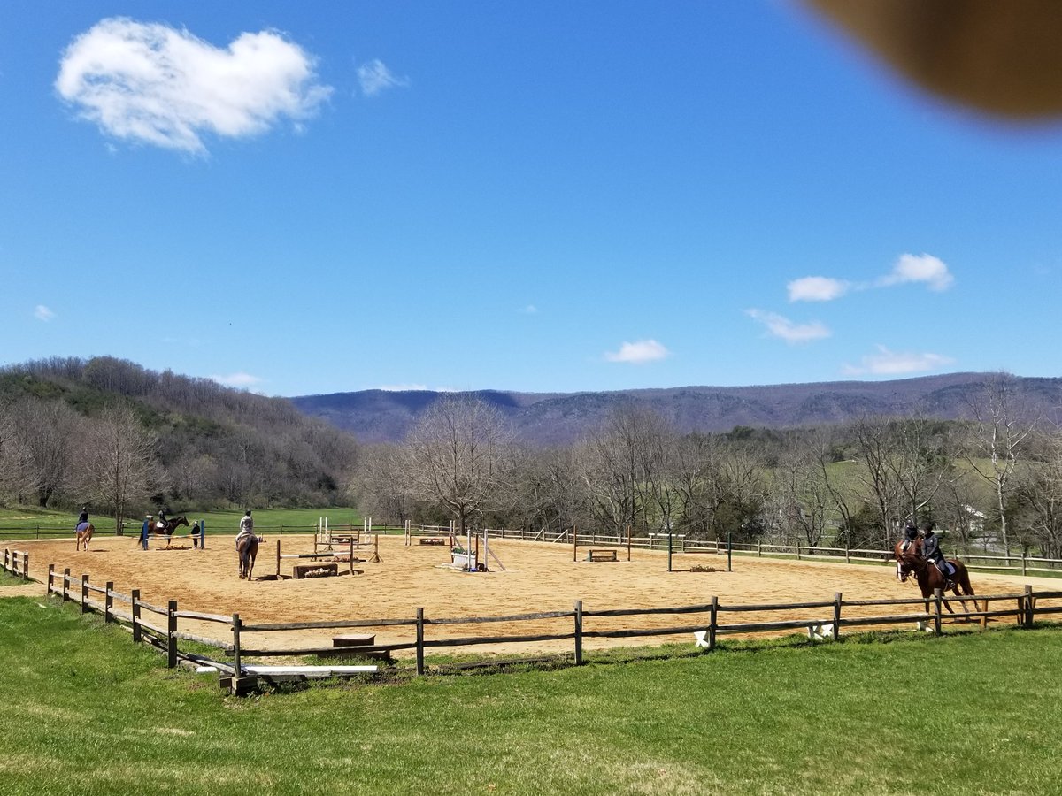shwjmpr's tweet photo. T minus 23 to ODAC Equestrian championships tomorrow #FinalPratice #Ready #GenniesGameDay https://t.co/TvGrBxQBi0