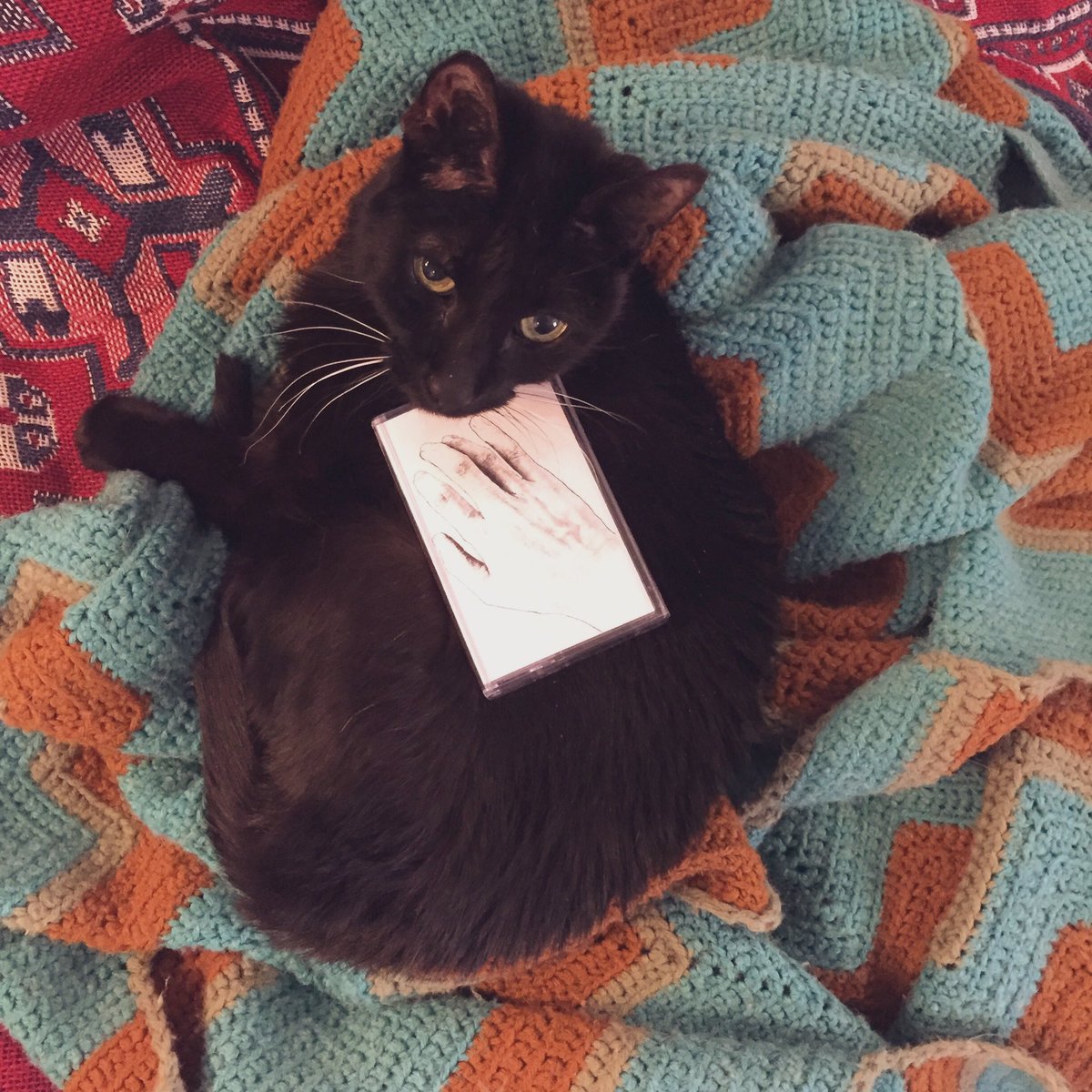 SamYield's tweet photo. Tapes make a lovely accessory for all seasons, today’s a good day to support music you like https://t.co/VTmCyYte4q