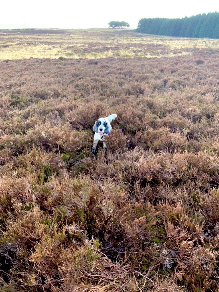 Jessica Williams, MBA tweet media