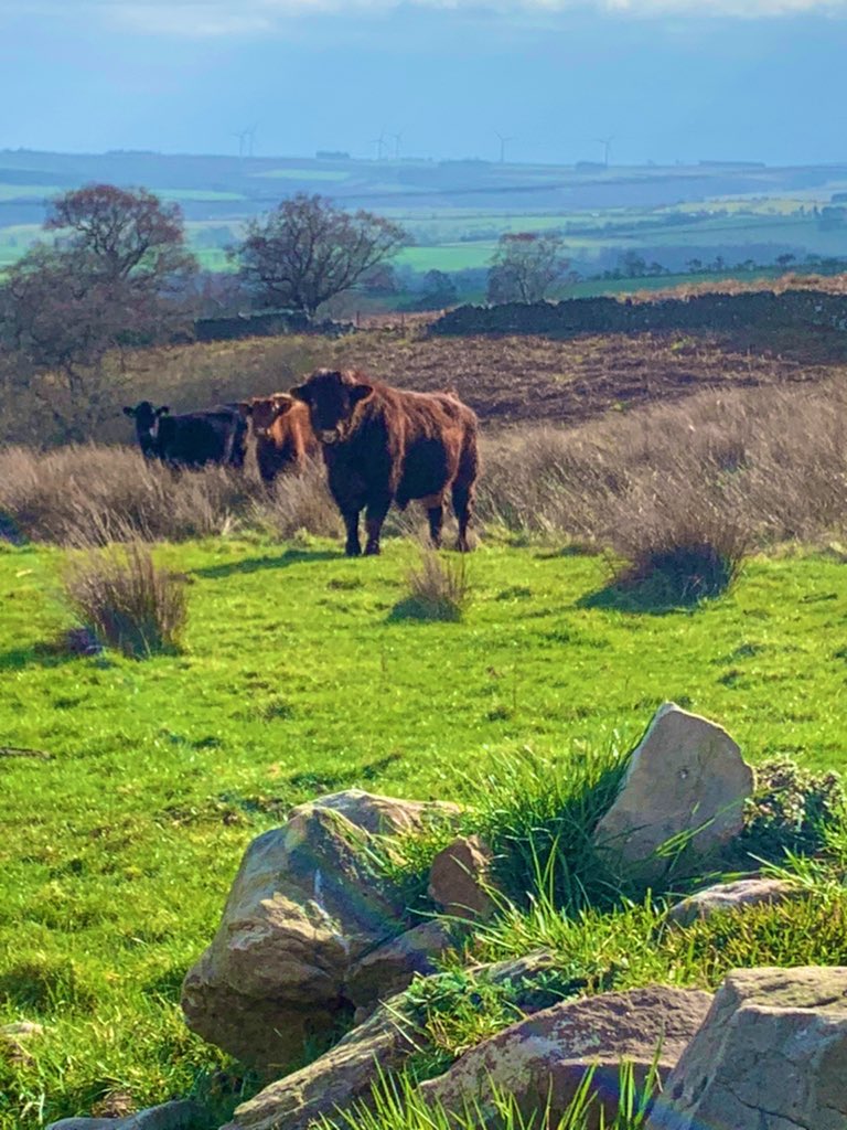 Jessica Williams, MBA tweet media