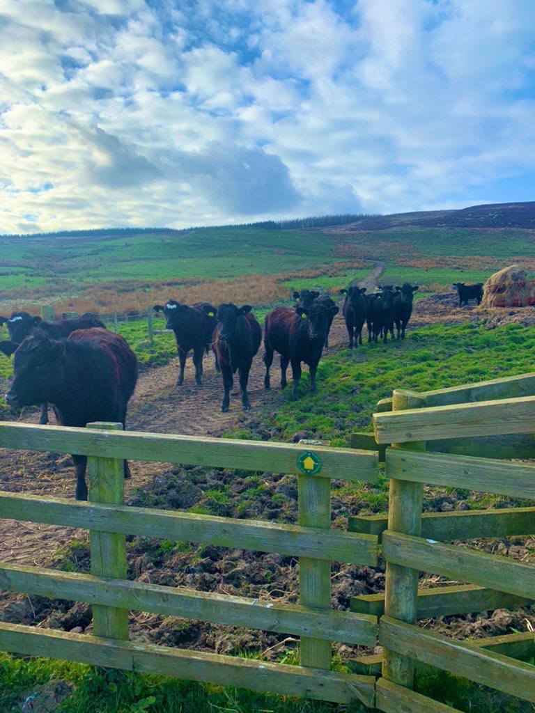 Jessica Williams, MBA tweet media