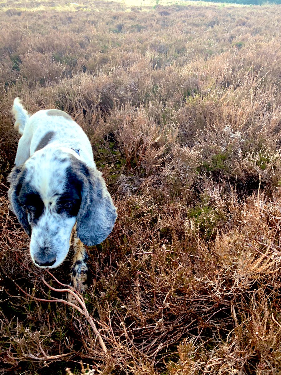 Jessica Williams, MBA tweet media