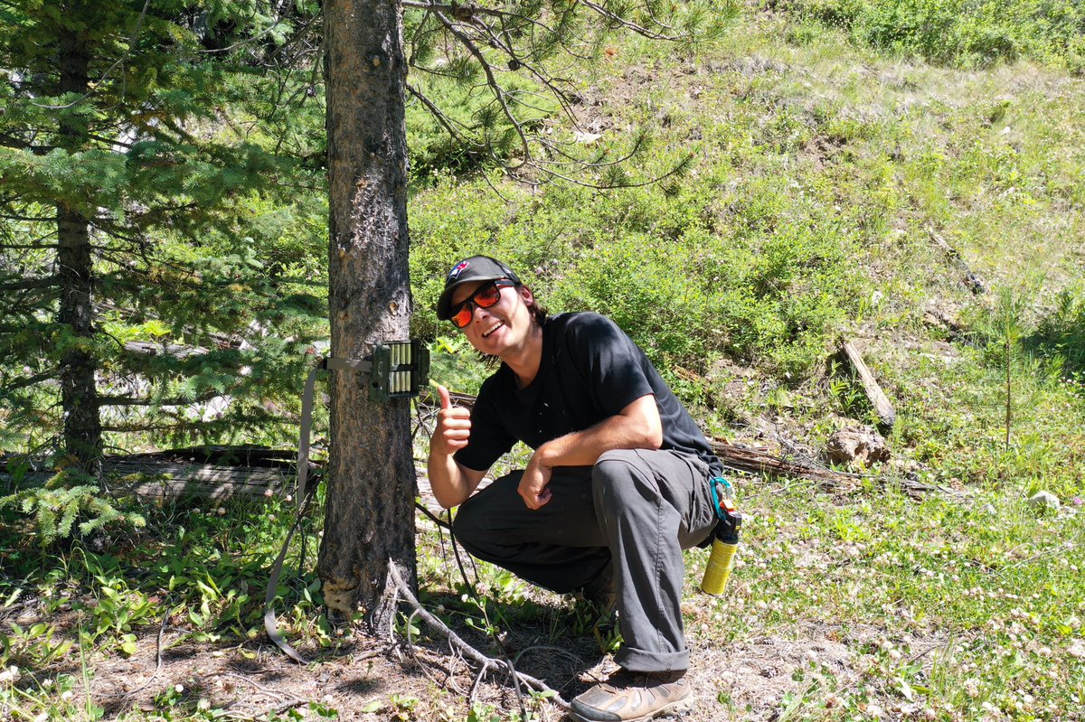wildco_lab's tweet photo. Today, we are highlighting @ChrisColtonUBC whose research involves applying newly available satellite remote sensing products in combination with camera trap data to better understand how forest harvesting affects grizzly bear habitat use. https://t.co/pPNVSm7Wcx #UBCGivingDay https://t.co/RW1W0ZU1GY