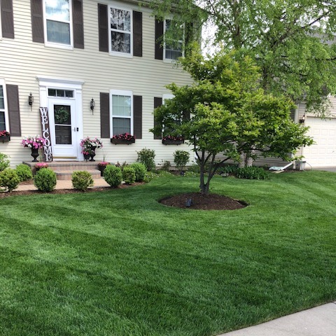 yardmastery tweet media