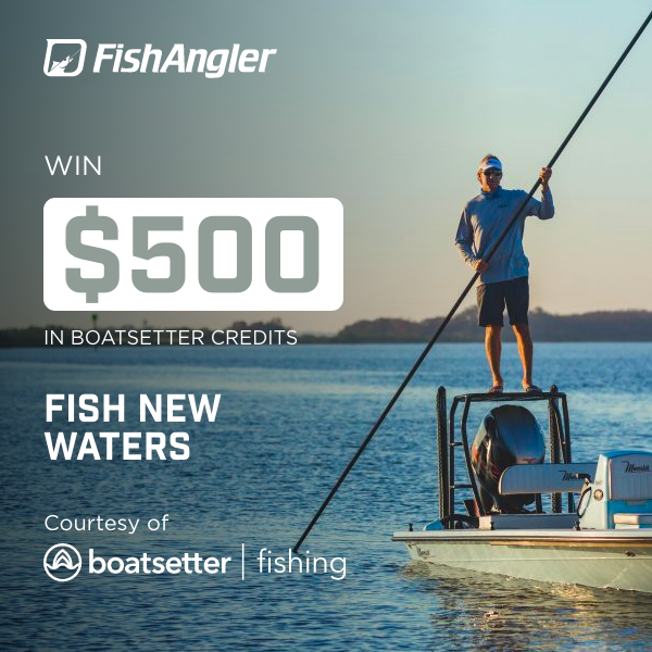 FishAnglerApp's tweet image. Win $500 toward a boat rental or charter with @boatsetterfish! To Enter: Log a catch ✔️ #Boatsetter in the description ✔️ Follow the Boatsetter page ✔️
bit.ly/Boatsettergive…