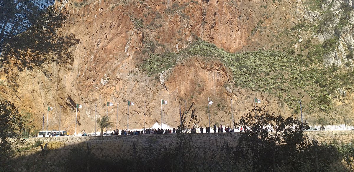 namry_gstd's tweet photo. ونقول مرحبا للجزائر ولاصدقائي اللي هناك 😭😭😭 تخيلو كل واحد في جانب جالسين نحيي بعضنا رغم اننا ما نعرف مين اللي بالجانب الآخر فقط نصرخ مثل المجانين 💚❤🤍❤💚🤍❤💚🤍 https://t.co/8QWksym8Fv