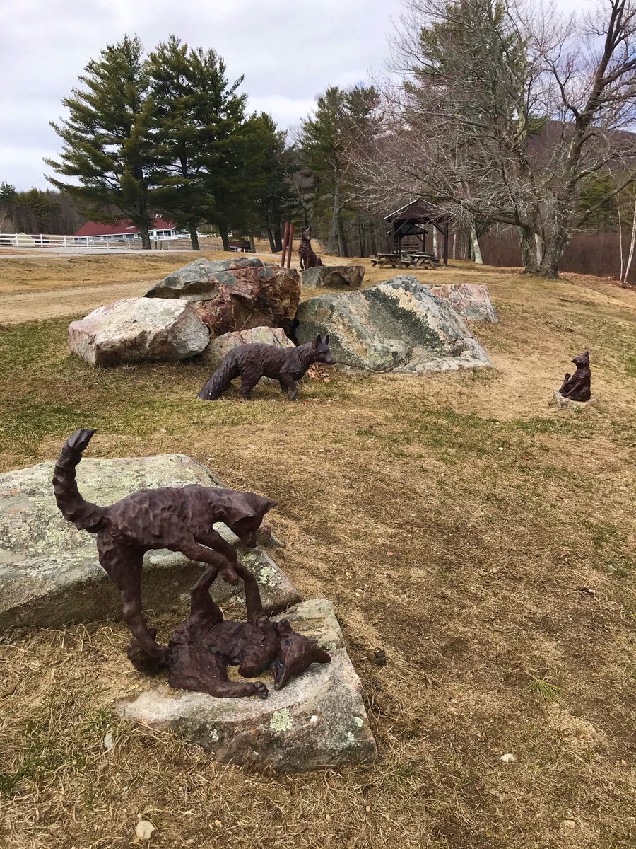 Castle_Clouds's tweet photo. A little chilly for two-legged visitors on the property today but our friendly fox family enjoyed themselves as always! #CastleMoments #ComeBackSpring! https://t.co/cB6HwiTr9s