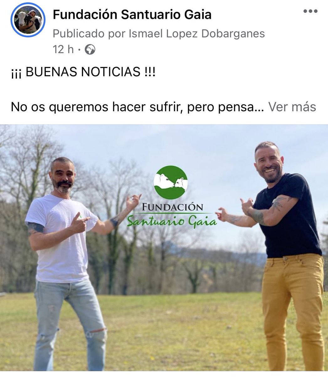 Esta mañana dejábamos a nuestros seguidores de <a href="/FSantuarioGaia/">Fundación Santuario Gaia</a> intrigados por una buena noticia.

Me encanta ver los comentarios que han hecho con tanta ilusión 💚

¿<a href="/HeuraFoods/">Heura Foods</a> habéis leído esto? A mí tb me haría ilusión y sería una noticia maravillosa 🌍💪🏼🌱