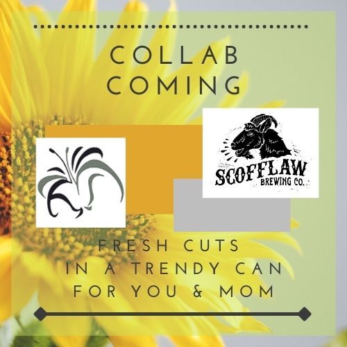 DesignsbyTTOC's tweet photo. So excited to announce we are going to be teaming up with Scofflaw to welcome Mother's Day Season. We will be doing a $20 fresh-cut can piece featuring SUNFLOWERS! Don't miss out. Dates coming soon. Share! Follow! Stay tuned for more details! #sunflowers #creative #mothersdaysale https://t.co/Iupom3zXHd