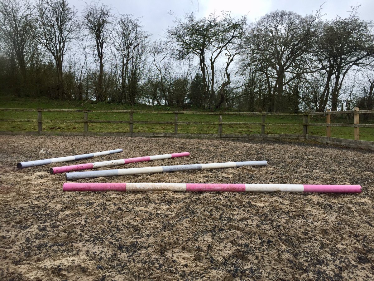 mheventing's tweet photo. Fair to say I had much more productive schooling sessions this week- finally feeling more inspired😜 The lovely weather certainly helped! #TackRoomFriday #ShowjumpingHour https://t.co/zFKHEG3BWS