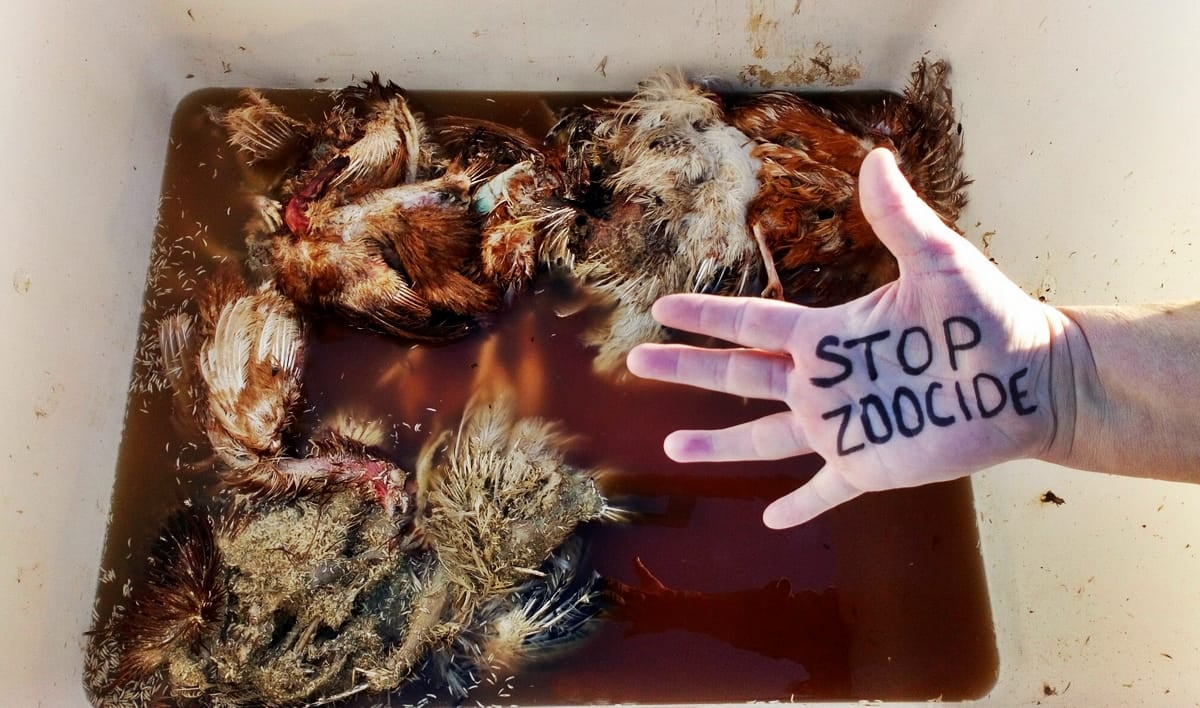 ENDHUSBANDRYNOW's tweet photo. #HandsToEndHusbandry #Endhusbandry #StopZoocide #June9th2021
Oppose YOUR hand for billions of paws NOW! Go, Go, Go!
You will find full user manual in your language : https://t.co/shfjNDvYXB
Add your contribution to the map : https://t.co/pbU3aufdyM https://t.co/Eg0jzlusgF