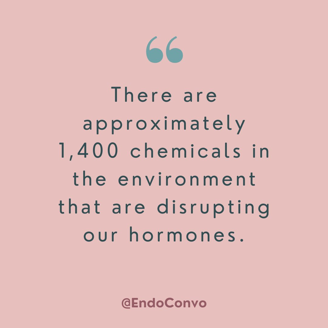 Did you know that there are approximately 1,400 chemicals in the environment that have the potential to disrupt our hormones?

Head to our most recent post to find out more: instagram.com/p/CNK0SOhDof4/

#EDCs #EndocrineDisruptors #hormones