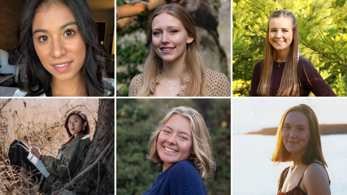 Sanctuary Forest tweet media