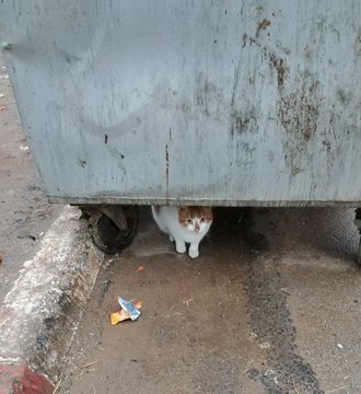 всю жизнь так