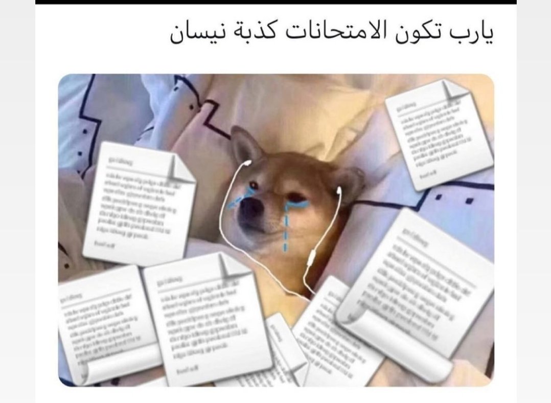 eng_zhra's tweet photo. #الطلاب_تستغيث_الكاظمي
#الالكتروني_منك_عثمان_الجحيشي 
#UNESCO_SAVE_US 
#امتحان_حضوري_قرار_باطل https://t.co/PfBGtQaItz