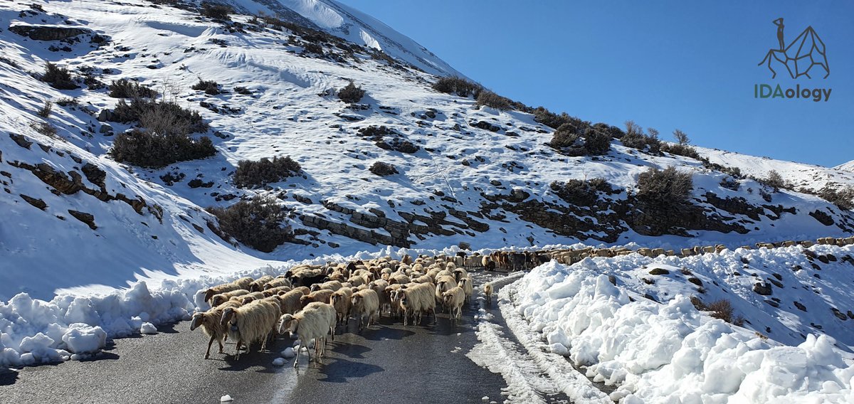 IDAologyProject's tweet image. Psiloritis Geopark common encounters

#IdaologyProject #crete #culturalheritage #Psiloritis #culture #greece