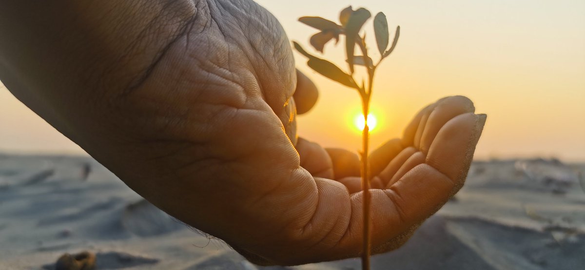 I am thrilled that I have been selected for the #TF4 - #TheFutureOfTransportation for Global Youth Climate Network’s #GYCN Position Paper on #ClimateAction. The paper represents the network’s joint statement on the major challenges of the fight against #ClimateChange. <a href="/advdynaEV/">Advanced Dynamics</a>