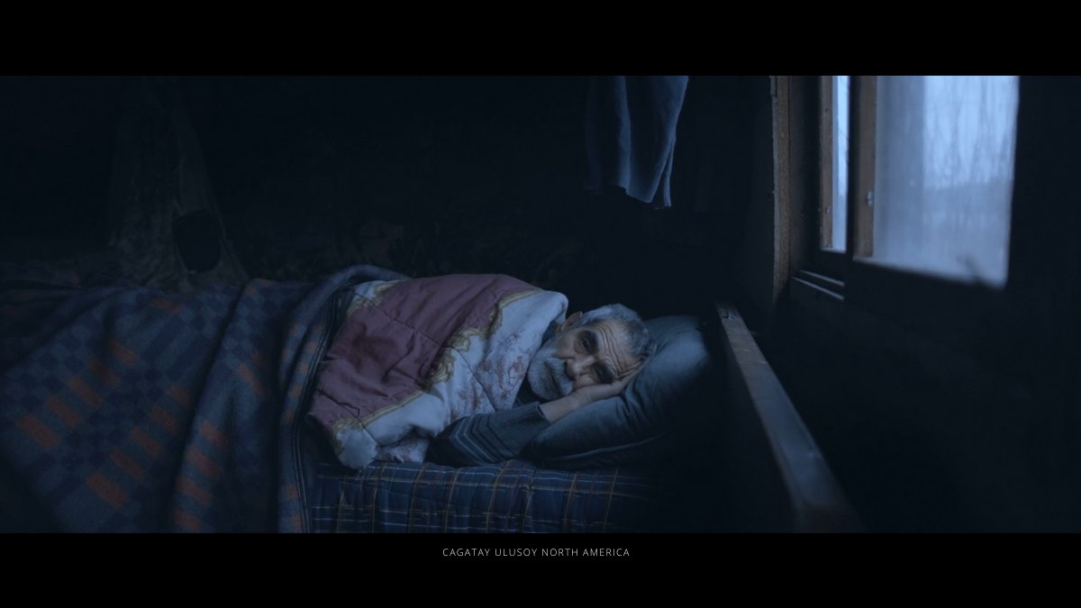 CagatayNorth's tweet photo. With permission from @oxfordfilmfest we are sharing some of these screenshots of frames in #Birdie we loved. #ÇağatayUlusoy eye for the aesthetics is captured in these compositions and the #UlusoyBrothers did very well for their first professional collaboration. @UlusoyAtalay https://t.co/OIwuJfOY6W