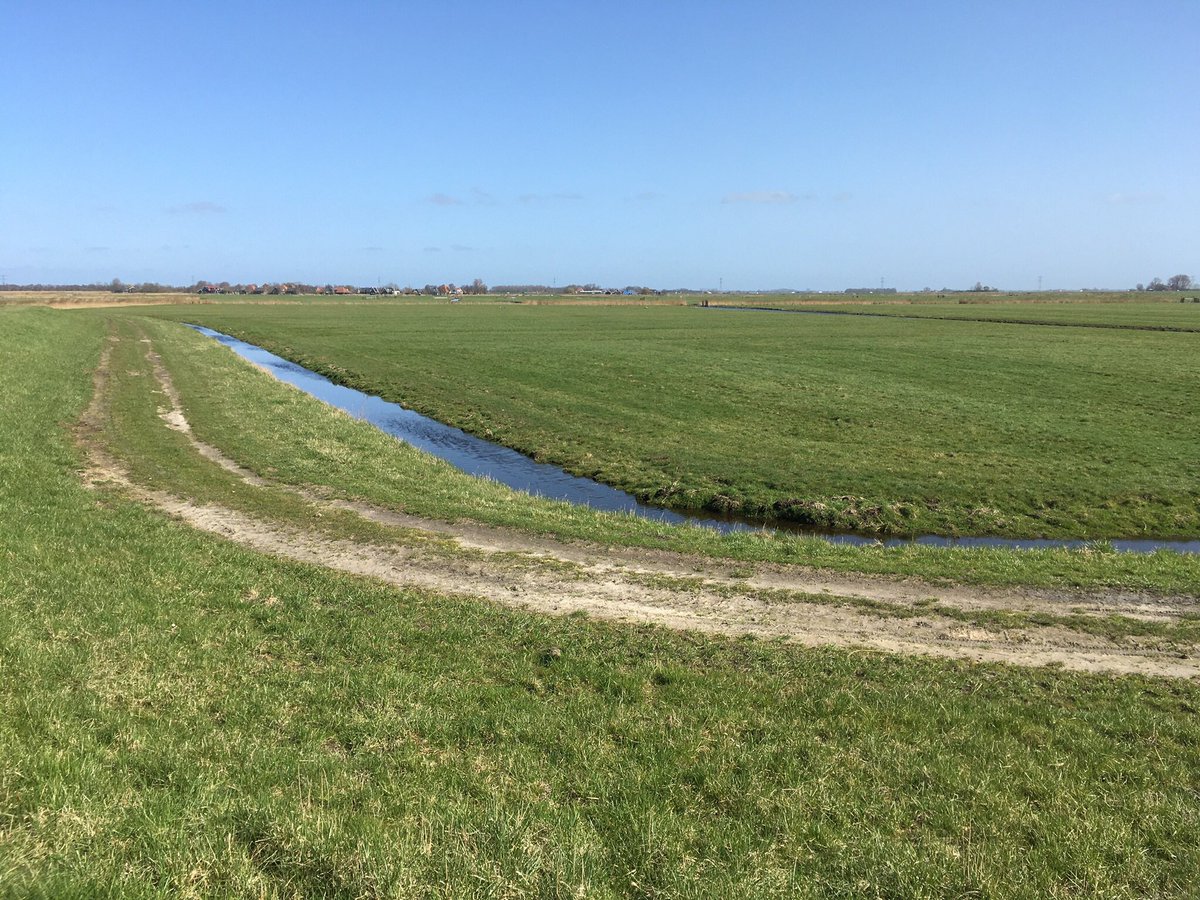 buurtenregio's tweet photo. #Wandeling om de polder bij de #Woude. Eerst met het pondje over en dan ruim 6 km wandelen, terwijl de weidevogels al druk bezig zijn met het voorjaar. https://t.co/ohm8l6kmWz