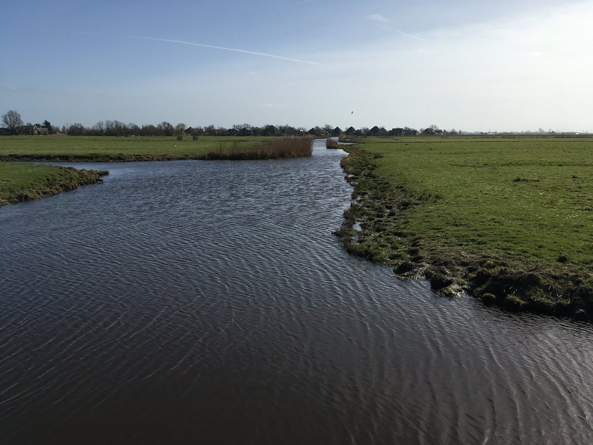 buurtenregio's tweet photo. #Wandeling om de polder bij de #Woude. Eerst met het pondje over en dan ruim 6 km wandelen, terwijl de weidevogels al druk bezig zijn met het voorjaar. https://t.co/ohm8l6kmWz