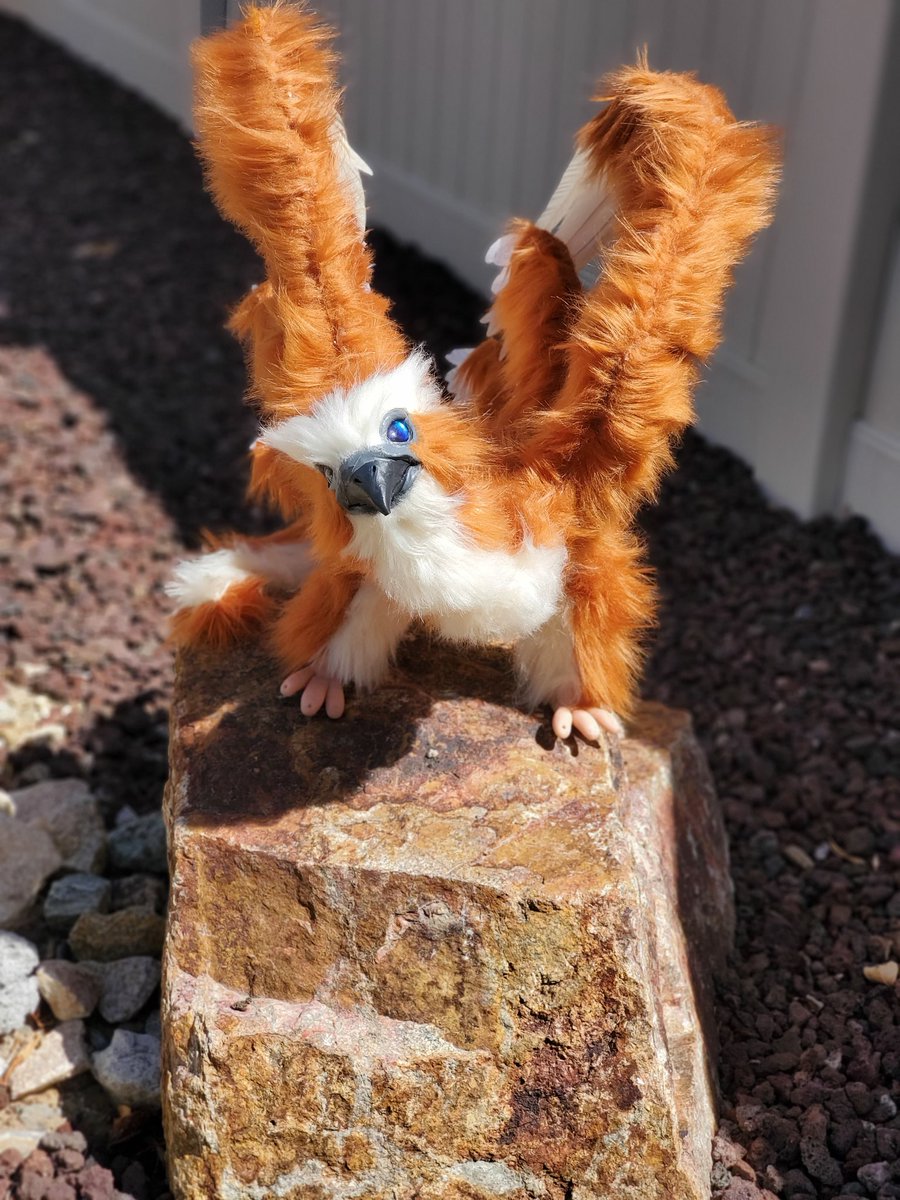 Rainbow_raptor (@Rainbowraptor2) | Twitter