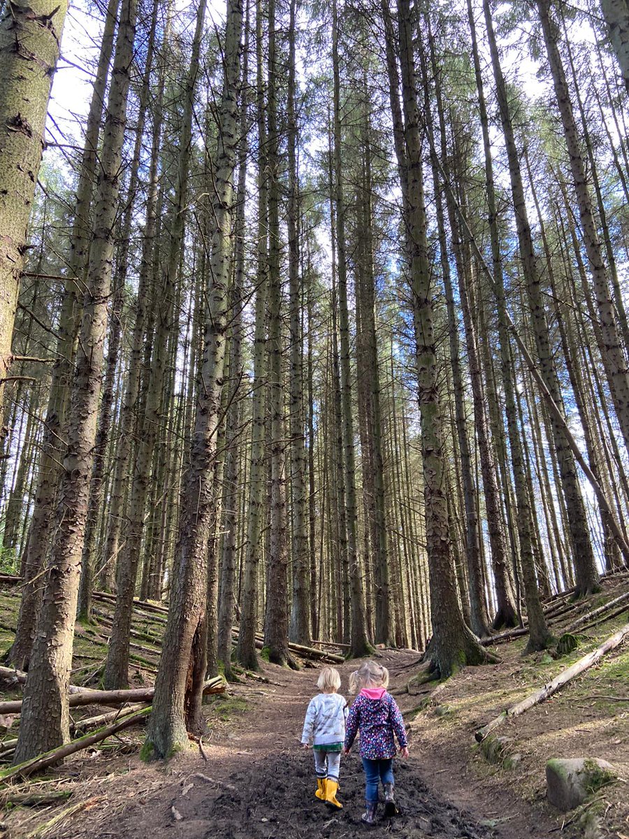 Evbcuik's tweet photo. Finding our tribe, feels good. Pals, nature, woods, dens, ponds. #StayLocal #StaySafe #SeeFriends https://t.co/Sx2bqWf4na