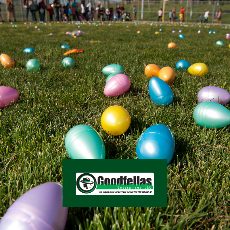 Do your Easter Sunday brunch plans include an Easter egg hunt? Lawn prep in three easy steps:
➡️ Step 1: Pick up stray branches or sticks in the yard
➡️ Step 2: Hide the eggs
➡️ Step 3: Have fun! 
#EasterWeekend
#EasterEggHunt