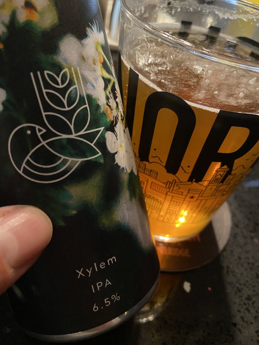 Another absolute cracker from Chris ⁦<a href="/goodthingsbrco/">Good Things Brewing Co.</a>⁩ - amazing citrus hit from the hop bill.